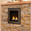 Valor Portrait Ledgeview Gas Insert - Image 3