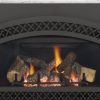 Heat & Glo Supreme Series Gas Fireplace Insert - Image 4