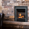 Valor Portrait Clearview Gas Insert - Image 3