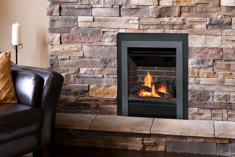 Valor Portrait Clearview Gas Insert