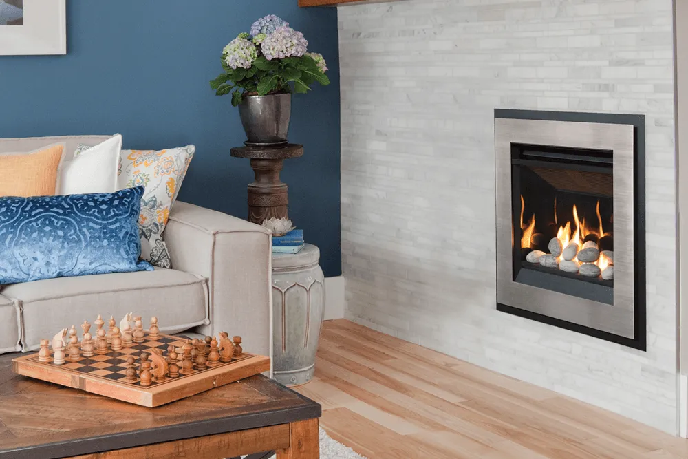 Valor Portrait Ledgeview Gas Insert - Image 2