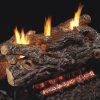 Real Fyre Golden Oak Series Gas Logs - Vent-Free - Image 2