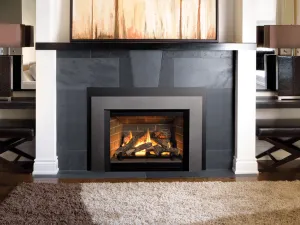 gas inserts at gas fireplace store