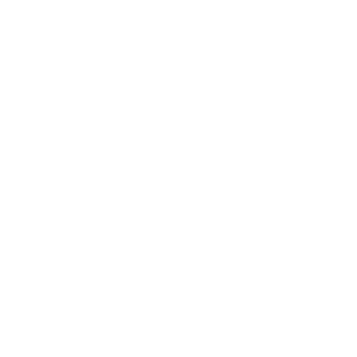 fireplaces accessories icon