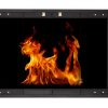 Ironhaus Fireplace Doors - Image 7