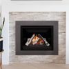 Valor G4 Gas Insert - Image 2