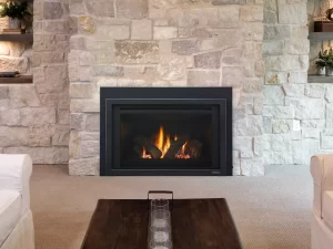 Heat N Glo Provident Indoor Gas Fireplace Insert
