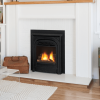Valor Portrait Series Direct Vent Gas Fireplace - Image 9