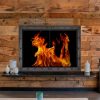 Ironhaus Fireplace Doors - Image 9