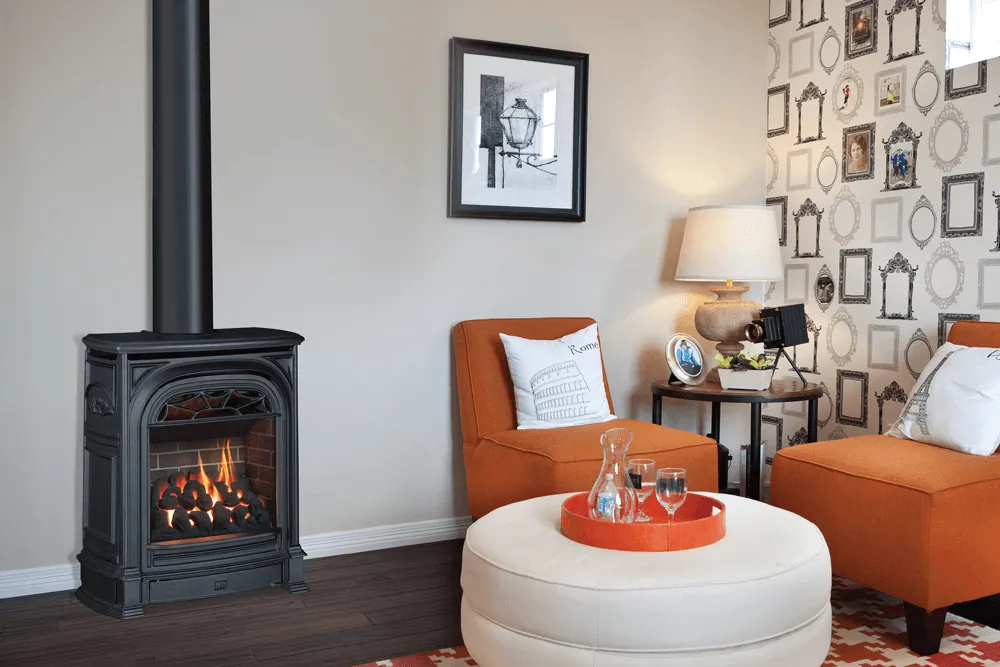 President Stove by Valor Electric - Image 5