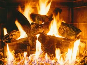 Eiklor Flames 304-2 Series