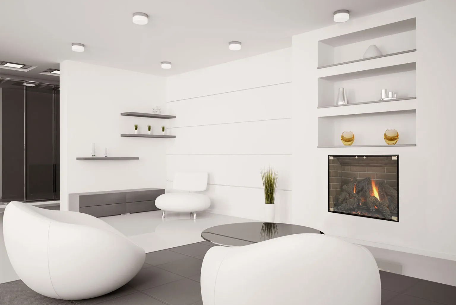 Elite Thinline Minimalist Fireplace Door