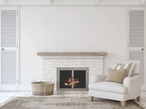 Transitional Fireplace Doors