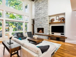 TotalView Frameless Fireplace Door